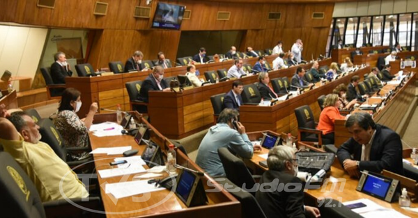 Senado aprueba suspensión de plazos electorales hasta un año por pandemia