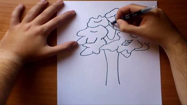 HOY / #PlantadosEnCasa, la novedosa campaña para los días de aislamiento.