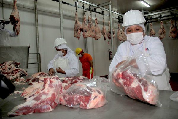 Bajos precios del ganado bovino afectan a productores