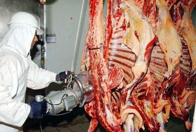 Exportación de carne mantiene buen ritmo de crecimiento - Nacionales - ABC Color