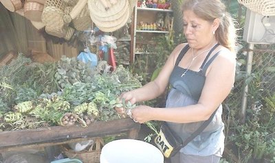 La bendición de palmas llegará hasta las puertas | Crónica