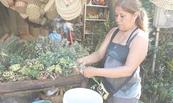 La bendición de palmas llegará hasta las puertas | Crónica