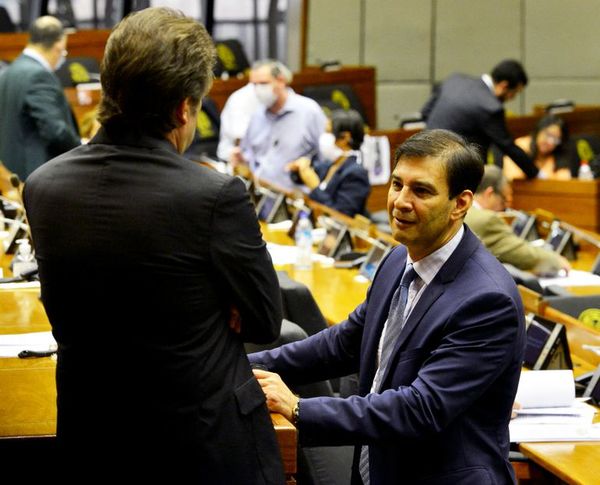 Reforma del Estado: proyecto no se trató por falta de consenso, dice “Beto” Ovelar - Nacionales - ABC Color