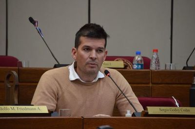 Godoy: Abdo Benítez “tiene la lapicera y quiere seguir con el carnaval y la joda” - Nacionales - ABC Color