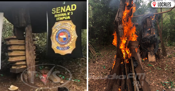 SENAD destruye más de 400 kilos de marihuana en Tomas Romero Pereira