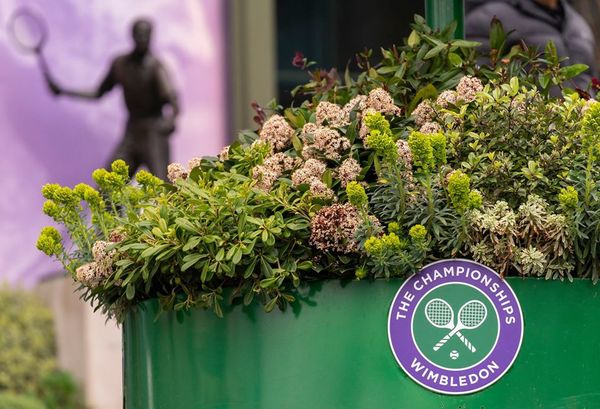 Wimbledon es cancelado a causa de la pandemia del Covid-19 | Noticias Paraguay