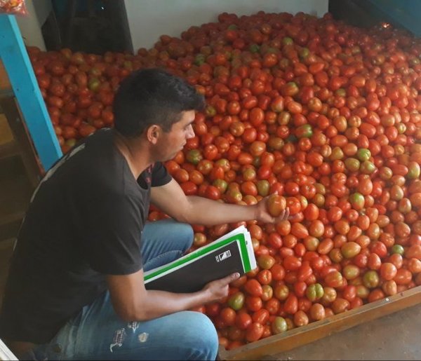 MAG anuncia lanzamiento de campaña de fincas de autoconsumo