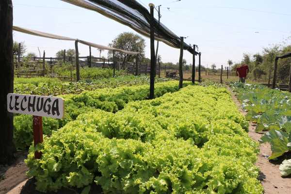 Paraguay confía en repunte agropecuario porque el mundo «requiere alimentos»