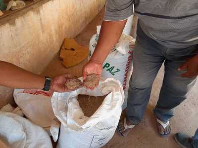 MAG entregará insumos para asegurar autoconsumo de 150.000 familias agrícolas