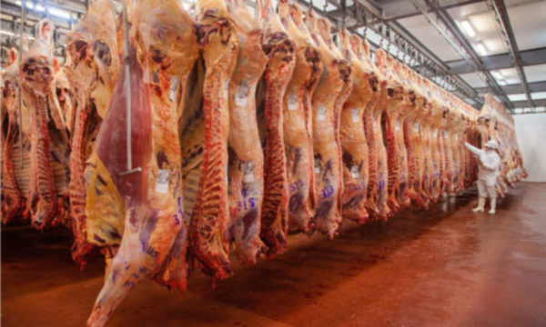 » Sigue repunte en envío de carne, pero advierten sobre una caída en abril
