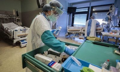 El 80% de los pacientes del Covid-19 pierden el olfato, según un estudio