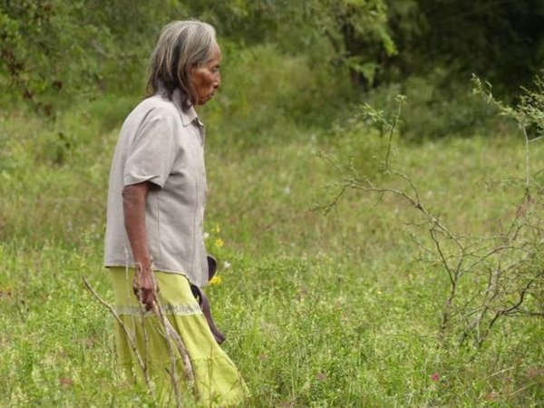 Indígenas también toman medidas especiales contra el Covid-19