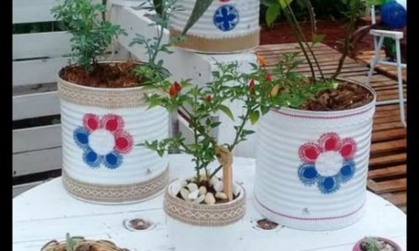 » Huerta Urbana sembramos en casa