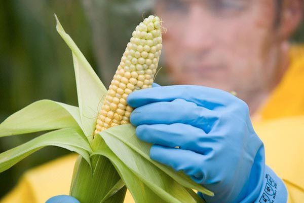 Países de América Latina se comprometen para asegurar alimentos durante pandemia