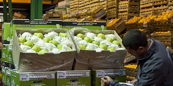 Países sudamericanos fijan pautas para avalar tránsito de alimentos