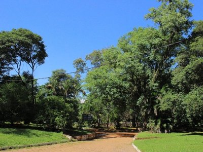 Jornada soleada y temperatura agradable para este sábado