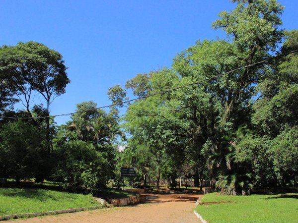 Jornada soleada y temperatura agradable para este sábado