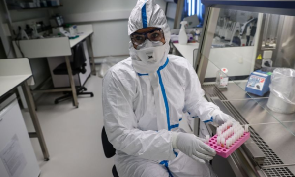 Científicos australianos demuestran que un fármaco antiparasitario mata al coronavirus en 48 horas