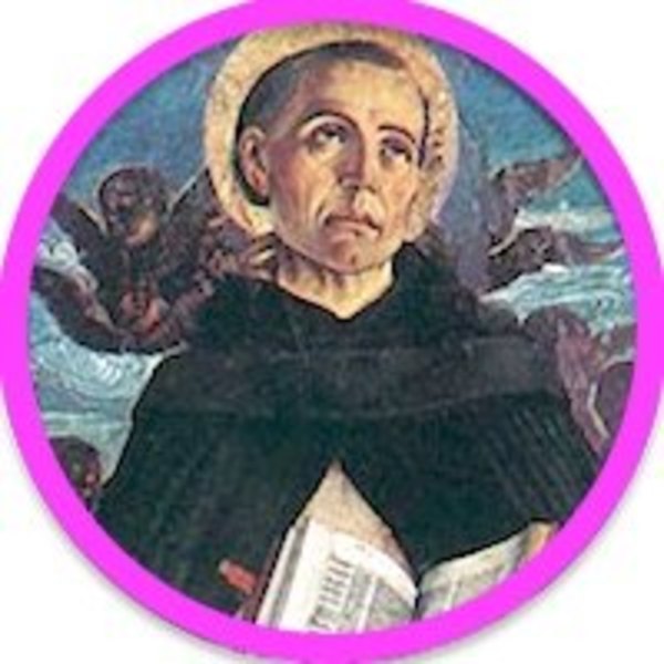 San Vicente Ferrer | Crónica
