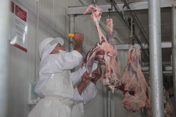Paraguay debe conquistar el mercado chino, sostienen
