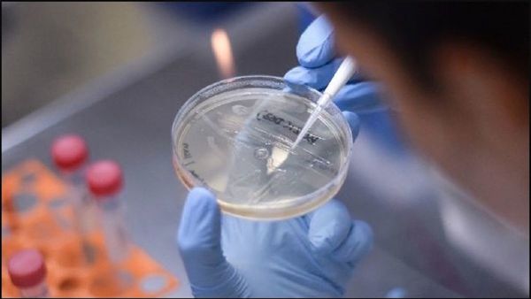 Científicos hallan vulnerabilidad potencial del nuevo coronavirus