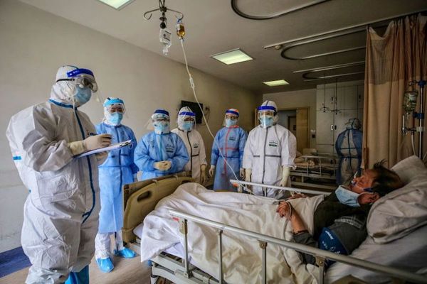 Probarán células madre para vencer al nuevo coronavirus