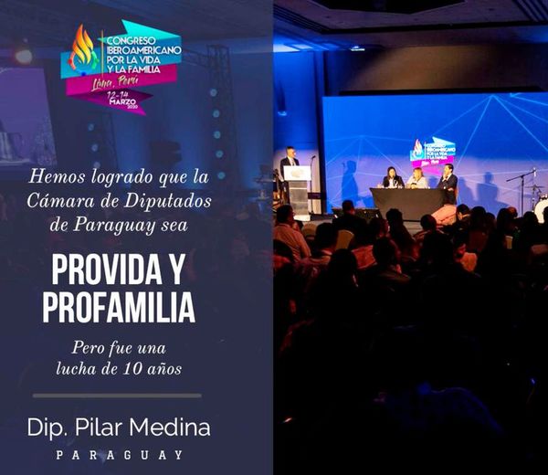 Plantearán expulsar a la diputada Del Pilar - Política - ABC Color