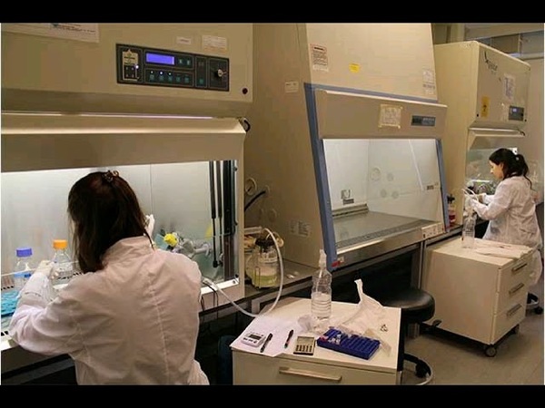 MERCOSUR APRUEBA LA CREACIÓN DE UN FONDO DE EMERGENCIA PARA COMBATIR EL CORONAVIRUS