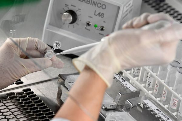Serían dos los ciudadanos que dieron positivo al COVID-19 y violaron la cuarentena, según el doctor Portillo - Nacionales - ABC Color