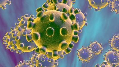 De los 113 infectados por coronavirus en el país 48 llegaron del exterior - Noticde.com