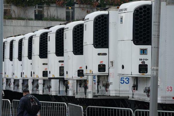 Nueva York plantea “entierros temporales” en parques ante morgues desbordadas - Mundo - ABC Color