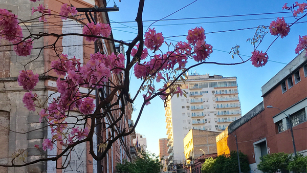 Clima para hoy: martes de fresco a cálido y sin lluvias