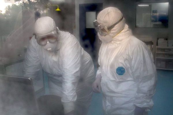 Salud aguarda aumento de casos positivos del coronavirus