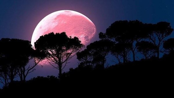 Hoy se verá la luna más purete del año | Crónica