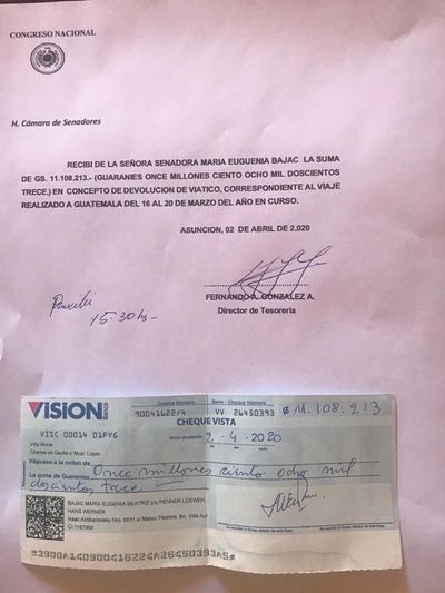 Bajac alega que tras devolver dinero del viático  no existe causal de pérdida de investidura - Nacionales - ABC Color