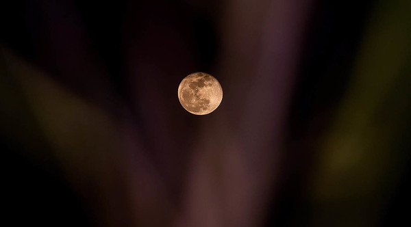 HOY SE VERÁ LA LUNA MÁS GRANDE Y LUMINOSA DEL 2020