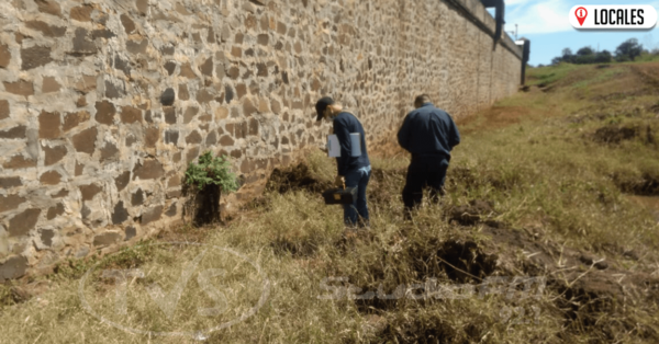 Vuelven a hallar marihuana “abandonada” en el CERESO