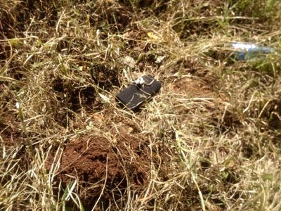 Hallan nuevamente marihuana abandonada en el penal de Itapúa
