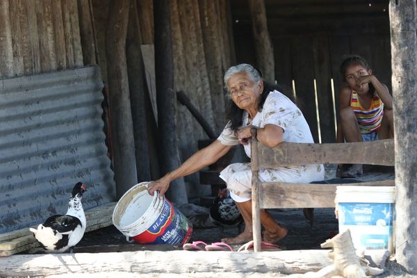 “Si el virus entra a nuestras comunidades, los pueblos indígenas estaremos fritos”