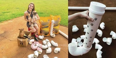 SANTARRITEÑA IDEA PROYECTO PARA ALIMENTAR A PERROS ABANDONADOS
