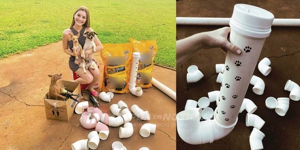 SANTARRITEÑA IDEA PROYECTO PARA ALIMENTAR A PERROS ABANDONADOS
