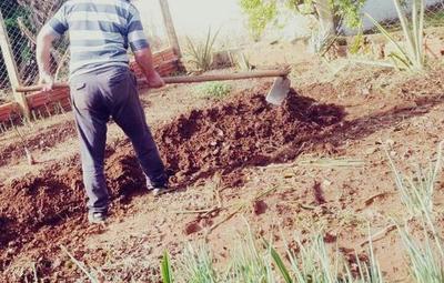 MAG entregará kits para huertas a personas con agua potable