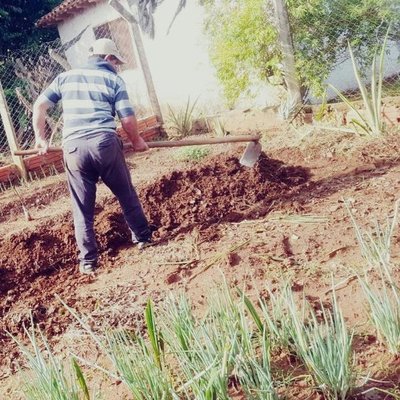 MAG entregará kits para huertas a personas con agua potable