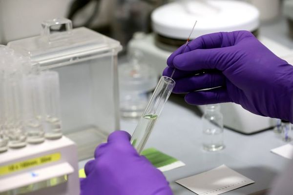 COVID-19: test rápidos llegan esta semana - Nacionales - ABC Color