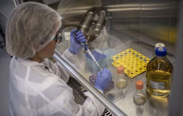 La ciencia brasileña vuelve a mostrar su peso en la lucha contra el coronavirus - Ciencia - ABC Color