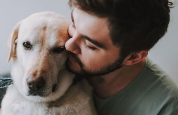¿Afecto o comida? Estudio revela la razón por la que tu perro te quiere realmente - SNT