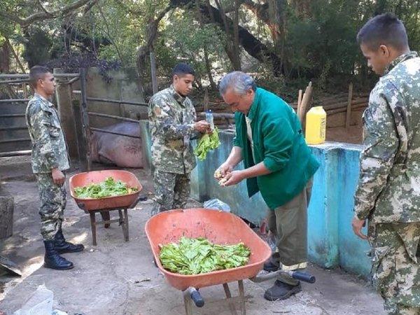 Covid-19: Militares dan una mano a trabajadores del Zoológico de Asunción