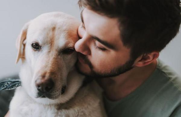 ¿Afecto o comida? Estudio revela la razón por la que tu perro te quiere realmente - C9N