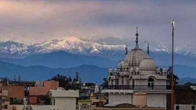 Cuarentena en la India: por la baja contaminación se pudo volver a ver el pico del Himalaya