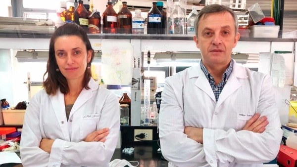 Coronavirus: Investigadores argentinos desarrollaron un programa que detecta casos positivos en 3 minutos - ADN Paraguayo